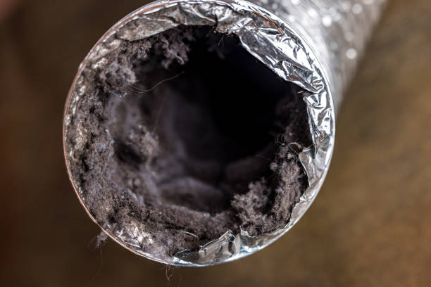Best Duct Cleaning for Homes  in Oberlin, LA